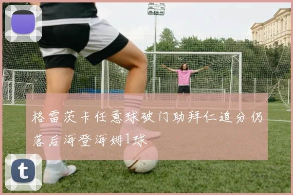 格雷茨卡任意球破门助拜仁追分仍落后海登海姆1球